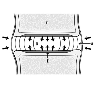 MUS020F5