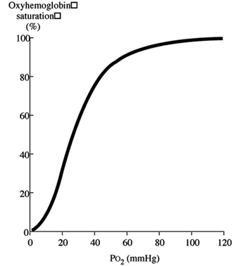 Oxygen Levels At High Altitude Chart