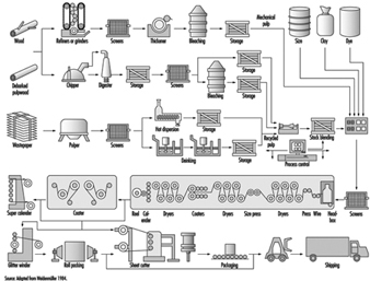 Pulp and Paper Manufacturing Process