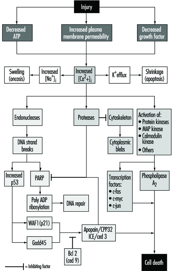 What toxicity types are there?