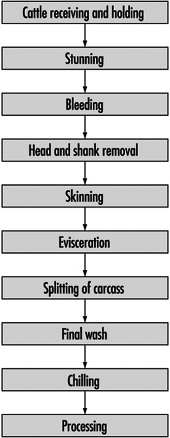 Flow Chart Of Chicken Processing